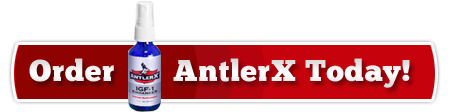 order-antlerx