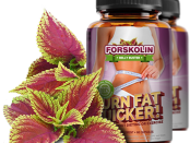 Forskolin Belly Buster