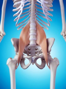 psoas