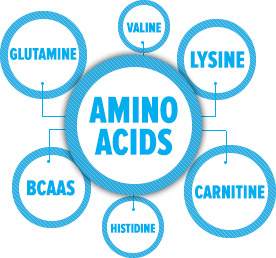 amino-acids BCAAs