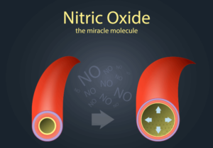 Nitric Oxide Benefits