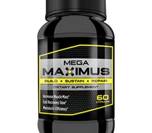 Mega-Maximus-Muscle