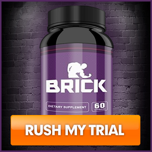 Brick Free Trial